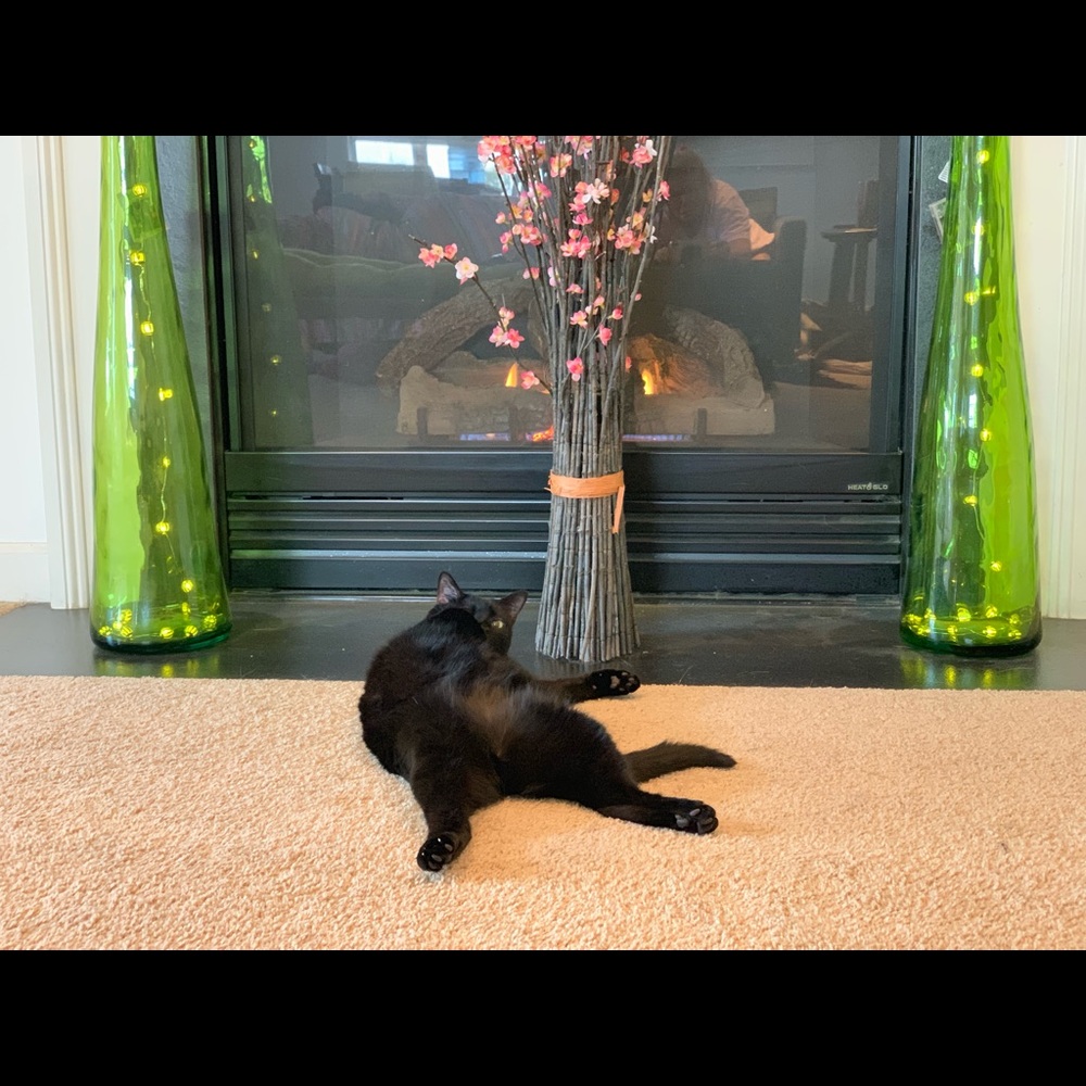 MAKE ME AN OFFER!! I love offers!!